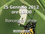 A Roncegno terme nasce l’isola cogenerativa